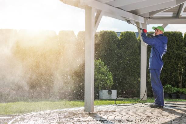 Best Driveway Pressure Washing  in Mulino, OR
